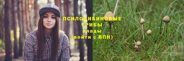 соль курить ск Алексеевка