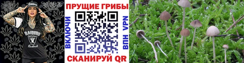 Псилоцибиновые грибы мухоморы  это официальный сайт  Приозерск 